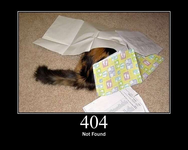A cat hiding under paper with a 404 not found caption
